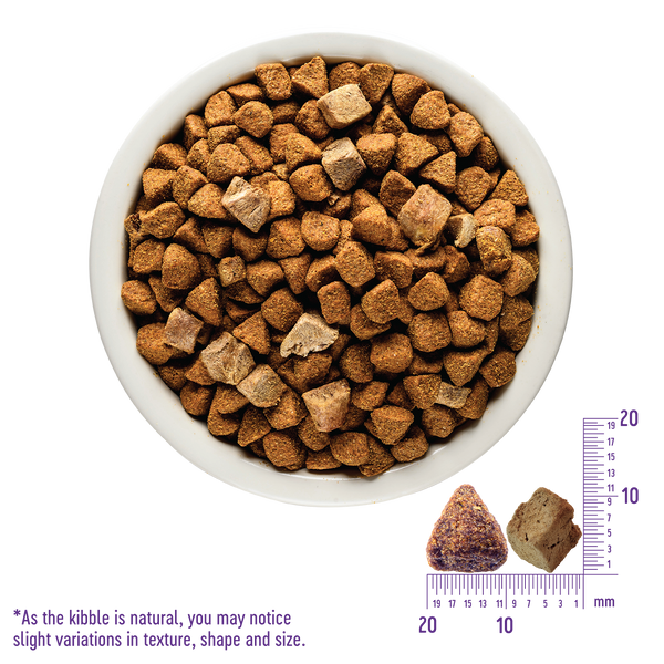 Wellness CORE RawRev Puppy Puppy Original 100 Raw Turkey Dog