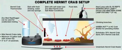 Zoomed 10 Gallon ReptiHabitat Hermit Crab Kit