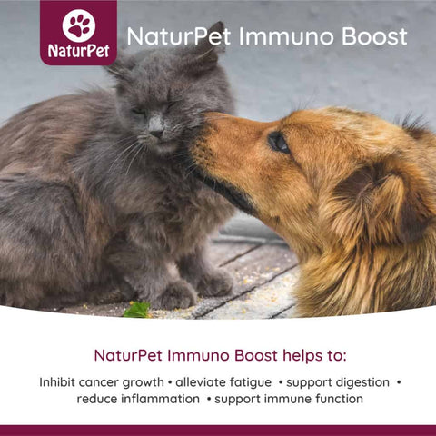 NaturPet Immuno Boost (100 ml)