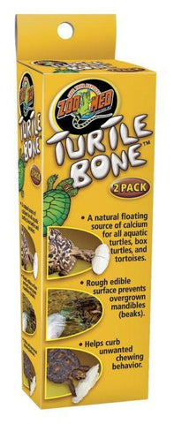 Zoomed Turtle Bone