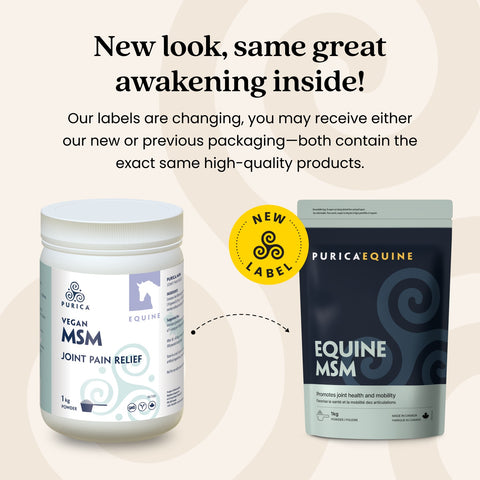 Purica Equine MSM