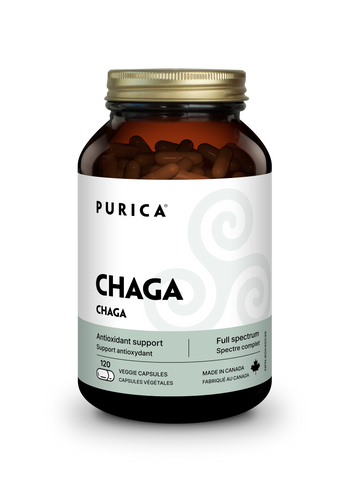 Purica Chaga