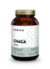 Purica Chaga