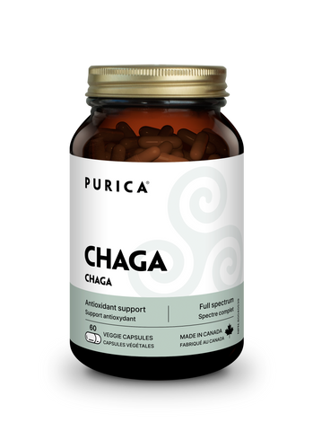 Purica Chaga