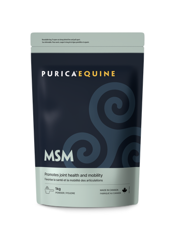 Purica Equine MSM