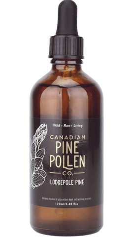 Canadian Pine Pollen Lodgepole Pine Tincture  (100 ml)