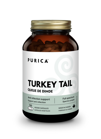 Purica Turkey Tail (Coriolus)