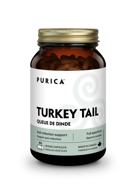 Purica Turkey Tail (Coriolus)