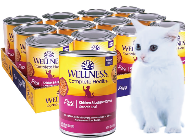 Wellness Complete Health Pâté Chicken & Lobster Cat Wet Food