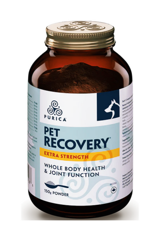 PURICA Pet Recovery - Extra Strength - Whole Body Health for Pets (Powder)
