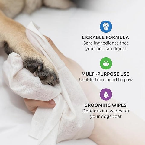 PawZ SaniPaw Odor Eliminating Dog Paw Wipes (60 Wipes)