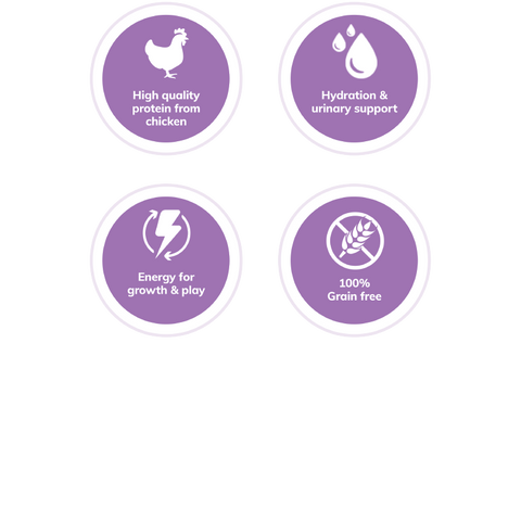 Wellness Complete Health™ Gravies Chicken Dinner