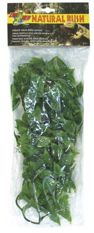 Zoomed Natural Bus Plants – Mexican Phyllo