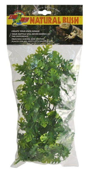 Zoomed Natural Bush Plants – Amazonian Phyllo