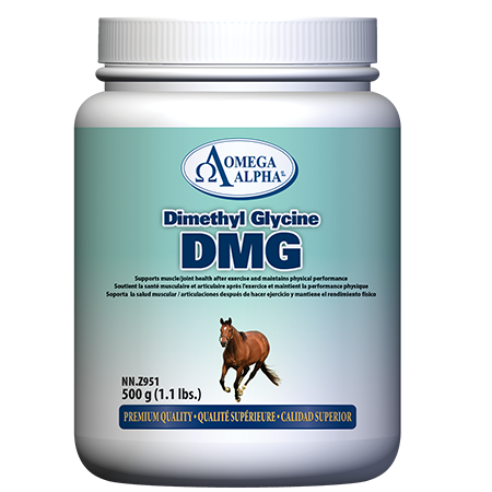 Omega Alpha Dimethyl Glycine (DMG)