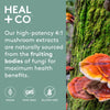 Heal + CO Super Mushroom Complex - 4:1 500mg (120 Caps)