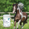 PURICA Equine Hyaluronic Acid