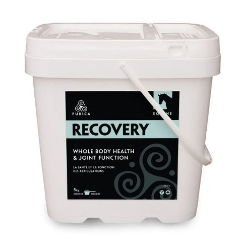 PURICA Equine Recovery