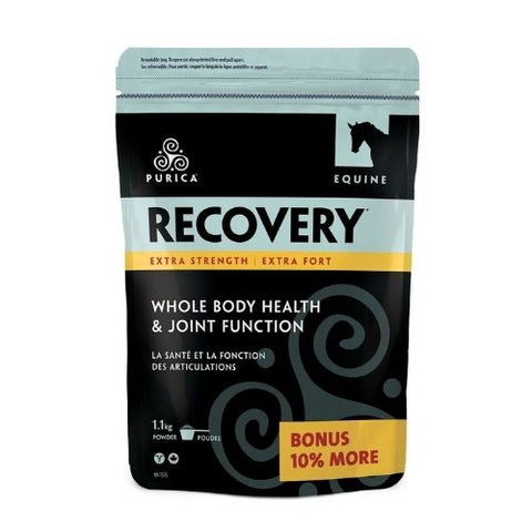 PURICA Equine Recovery Extra Strength
