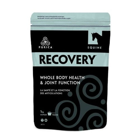 PURICA Equine Recovery